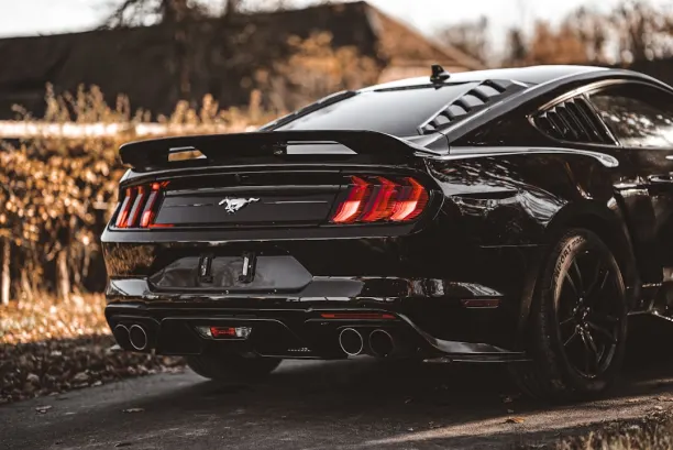 PlaySunny Casino Android/iOS aplikacija